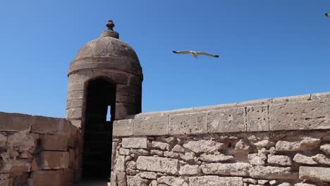 Hafen-Von-Essaouira-Und-Scala-Du-Port,-Eine-Von-Genuesen-Erbaute-Zitadelle