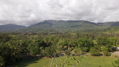 Üppiger,-Dichter-Tropischer-Dschungel-In-Der-Nähe-Von-Playa-Linda-An-Der-Malerischen-Zentralen-Pazifikküste-Von-Costa-Rica