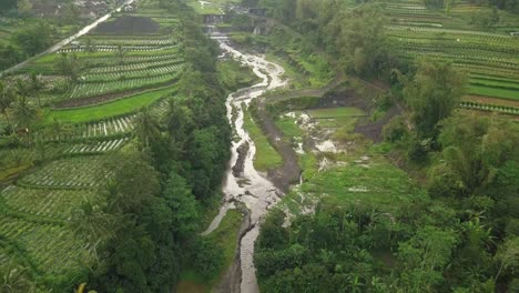 Toma-Aérea-Del-Canal-Del-Río-Que-Fluye-Entre-Las-Plantaciones-De-Hortalizas-En-Java-Central,-Indonesia