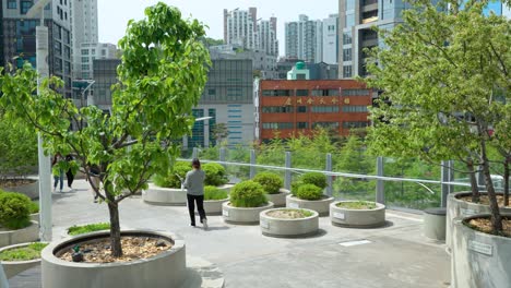 Trees-are-planted-on-the-Seoullo-7017-elevated-sky-park-in-Seoul,-South-Korea-with-people-walking-by