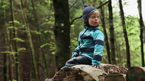 Young-boy-sits-on-a-log-in-the-forest-and-then-turns-around-to-look-over-his-shoulder