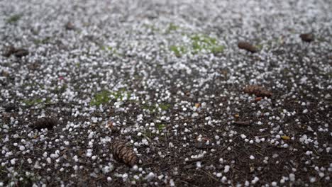 A-brief-and-sudden-hail-storm-covers-the-bare-earth-with-bouncing-popcorn-pellets