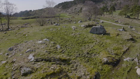 Sheep-On-Rocky-Pasture-On-A-Sunny-Springtime