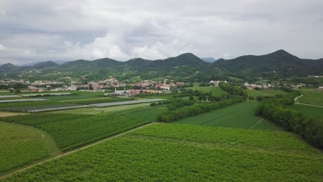 Vineyards-with-rural-houses-in-Italy-during-a-cloudy-summer-day