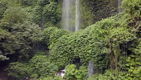 Wasserfall-Wasservorhang-überwucherte-Grüne-Wände