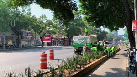 Stadtarbeiter-Pflanzen-Grünpflanzen-In-Blumenbeeten-Neben-Der-Straße-In-Mexiko-Stadt