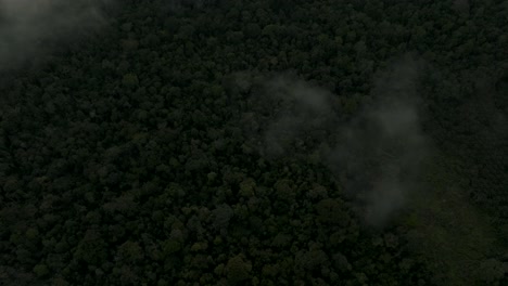 Aerial-tilt-up-shot-of-deep-Amazon-Rainforest-and-dense-clouds-at-sky-with-sunlight-in-backdrop