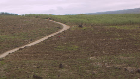 Plantación-De-Caña-De-Azúcar-En-La-Cima-De-Una-Montaña-En-La-Provincia