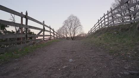 Old-trail-between-the-fences.-Rural-landscape