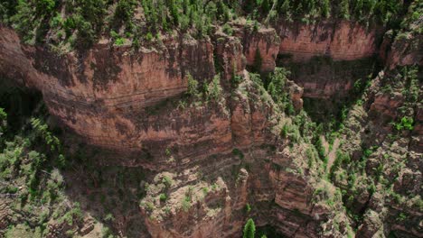 Aerial-Shot-Of-Large-Steep-Rocky-Canyon-Gorge-Face-Covered-In-Green-Pine-Trees-In-Glenwood-Canyon-Colorado-USA