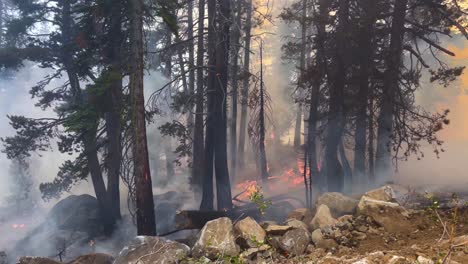 Wildfires-raging-and-nature-smoking-in-highland-forest---static-view