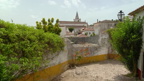 Lianas-Hanging-on-the-Walls-of-one-of-many-Houses-in-Castle-of-Óbidos