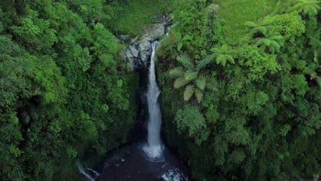 Drohnenaufnahmen-Des-Kedung-Kayang-Wasserfalls-Mit-Einer-Höhe-Von-Bis-Zu-Vierzig-Metern,-Umgeben-Von-Pflanzen-Und-Bäumen-In-Zentral-Java,-Indonesien
