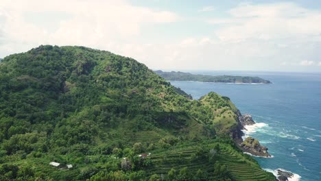 Luftaufnahme-Zeigt-Eine-Plantage,-Die-Auf-Einem-Grünen-Hügel-Entlang-Der-Küste-Von-Yogyakarta,-Indonesien,-Wächst