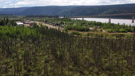 Drone-flying-over-leafless-dead-Alaska-forest-to-Yukon-River-Camp-during-summer-near-Yukon-river-bridge-known-as-the-E