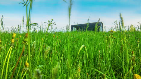 Low-angle-shot-of-beautiful-spring-day-with-yellow-flowers-in-full-bloom-on-green-grass-field-with-wooden-rectangular-cottage-in-distance-on-a-cloudy-day-in-timelapse