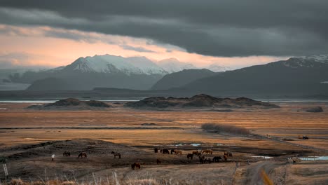 Mountain-sunset-with-horses-in-the-foreground-timelapse