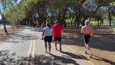 walkers-and-joggers-on-one-of-the-roads-through-the-urban-park-of-brasilia-enjoy-a-sunny-day-surrounded-by-nature