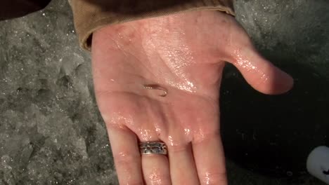 Kleiner-Angelhaken-Auf-Nasser-Hand-Mit-Offener-Handfläche
