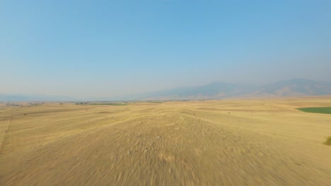 FPV-drone-flying-through-wide-dry-field-on-a-blue-sky-summer-day