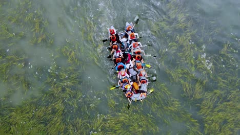 Increíble-Fotografía-Cenital-De-Un-Grupo-Con-Chalecos-Salvavidas-Haciendo-Rafting-A-Través-De-Plantas-Acuáticas-Verdes,-California