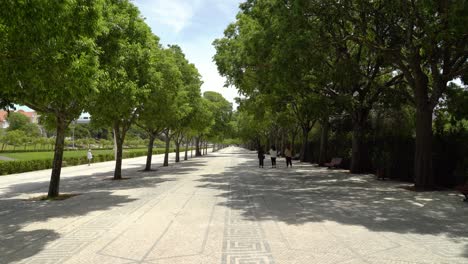 Im-Park-Von-Eduardo-VII-Gibt-Es-Portugiesische-Kopfsteinpflaster-Mit-Bäumen,-Die-Auf-Beiden-Seiten-Des-Parks-Wachsen