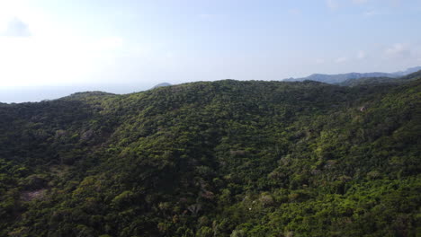 Filmischer-Luftflug-über-Begrünte-Berge-Im-Nui-Chua-Nationalpark,-Vietnam