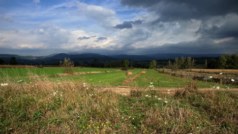 Rumänisches-Feld-Im-Sommer---Panoramablick