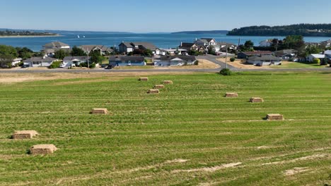 Aerial-shot-of-wheat-harvest-near-Oak-Harbor's-waterfront-estates