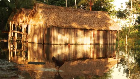 Zwei-Hütten-Am-Ufer-Des-Amazonas-Bilden-Die-Behausungen-Der-Indianischen-Ureinwohner