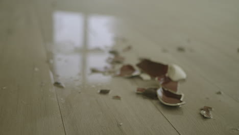 Moody-Broken-Shattered-Pieces-of-a-Cup-on-the-Ground-Floor
