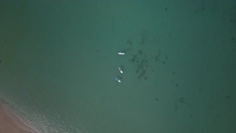 Descending-aerial-view-of-paddle-boarders-enjoying-a-sunny-day-in-Oahu