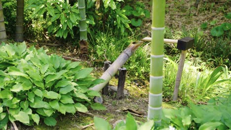Shishi-Odoshi-Fuente-De-Agua-Tradicional-Japonesa-De-Bambú-Para-Ahuyentar-A-Los-Pájaros