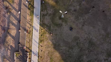 Aerial-top-down-shot-of-cyclist-riding-bike-on-path-along-coastal-park-area-at-Vicente-Lopez-during-sunset---Buenos-Aires,Argentina