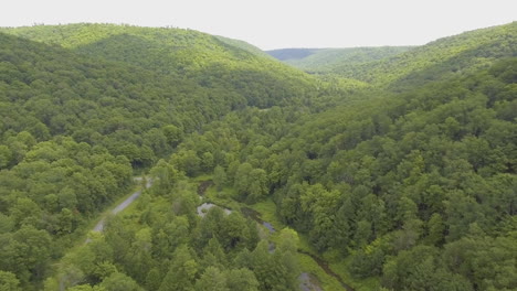 Tilting-aerial-drone-shot-into-the-Lyman-Run-state-park,-Pennsylvania