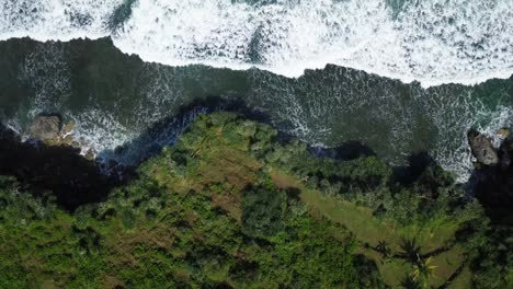 Overhead-drone-shot-of-coastline-overgrown-with-green-trees