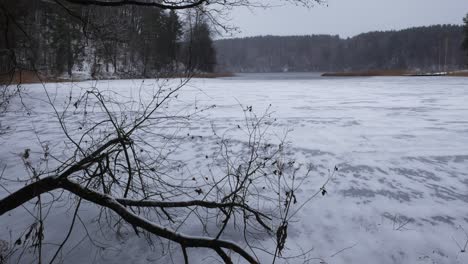 Zugefrorener-Ostseesee-Im-Winter,-Während-Es-Mit-Wald-Im-Hintergrund-Schneit
