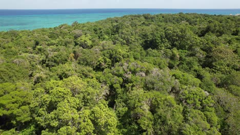 Üppige-Vegetation-In-Der-Blauen-Lagune,-Sansibar