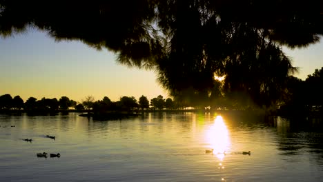 Lake-Sunrise-with-ducks