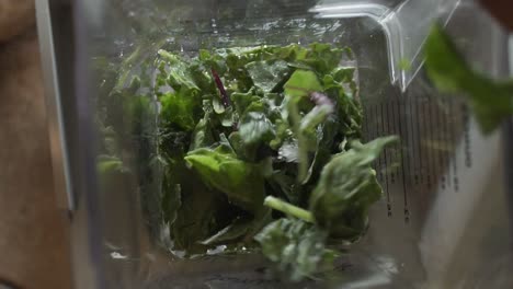 Slow-Motion-Close-up,-adding-kale-leaves-to-water-in-a-blender