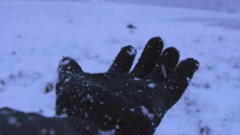A-gloved-hand-catches-snowflakes-as-they-fall-in-a-field