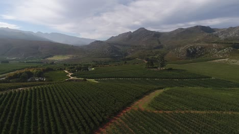 Luftaufnahmen-über-Die-Obstgärten-Im-Elgin-Valley-In-Der-Nähe-Der-Stadt-Grabouw-Am-Westkap-Von-Südafrika