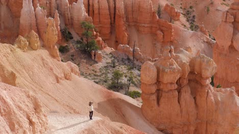 Female-tourist-on-trail-looking-at-hoodoos-in-Bryce-Canyon-National-Park-in-Utah,-USA