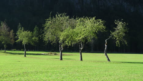 Apfelgarten-Im-Herbst,-Berge-Im-Hintergrund,-Logarska-Dolina,-Slowenien,-Schwenk-Von-Links-Nach-Rechts,-HD