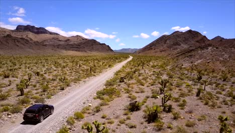 Car-driving-down-desert-trail-in-Nevada