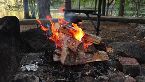 Kleines-Feuer-Aus-Holz,-Das-Langsam-In-Einer-Felsfeuerstelle-Im-Nuuksio-Nationalpark-In-Finnland-Zu-Brennen-Beginnt