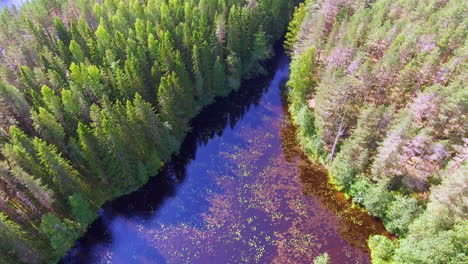 Aerial-pull-back-video-of-a-Finnish-coniferous-forest,-bog-and-lake