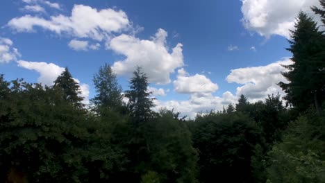 Timelapse-of-green-forest-with-puffy-white-clouds-against-a-blue-sky