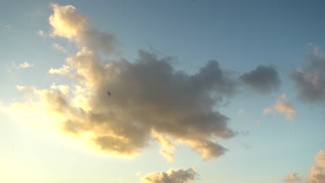 Sonniger-Bewölkter-Himmel-Mit-Vorbeifliegenden-Vögeln
