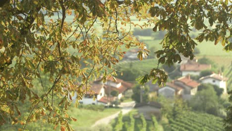Gelbe-Herbstblätter-In-Zeitlupe-Mit-Mediterranem-Dorf-Im-Hintergrund